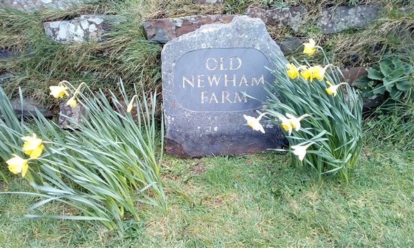 Welcome to Old Newham Farm